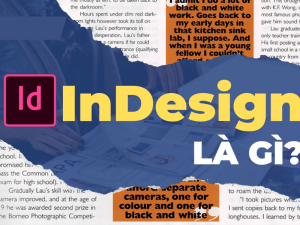 InDesign là gì